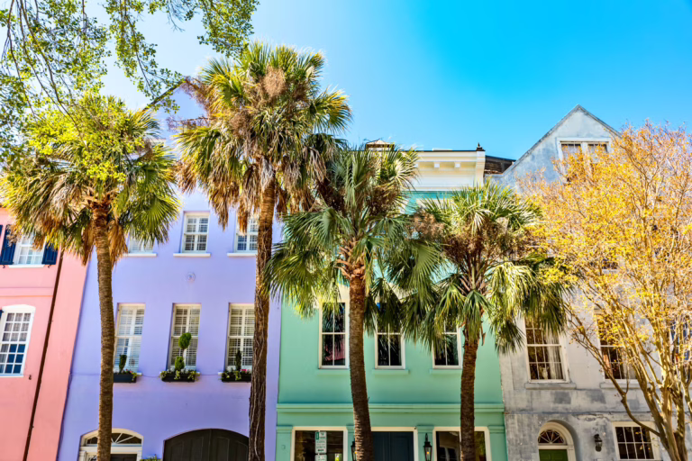 view of the tops of colorful buildings of rainbow row in charleston south carolina with palm trees in the foreground, one of the best views to seek out during one day in charleston sc